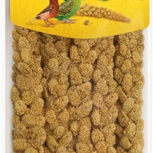 71D5AHvP6NL. AC SL1500 .jpg