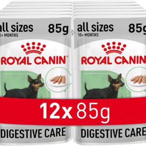 71DHnBFHkmL. AC SL1500 .jpg