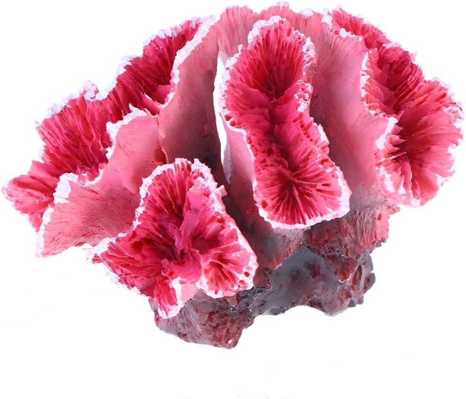 71DXHKqGA4L. AC SL1200 .jpg