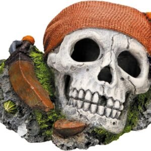 71E6A 3ddsL. AC SL1299 .jpg