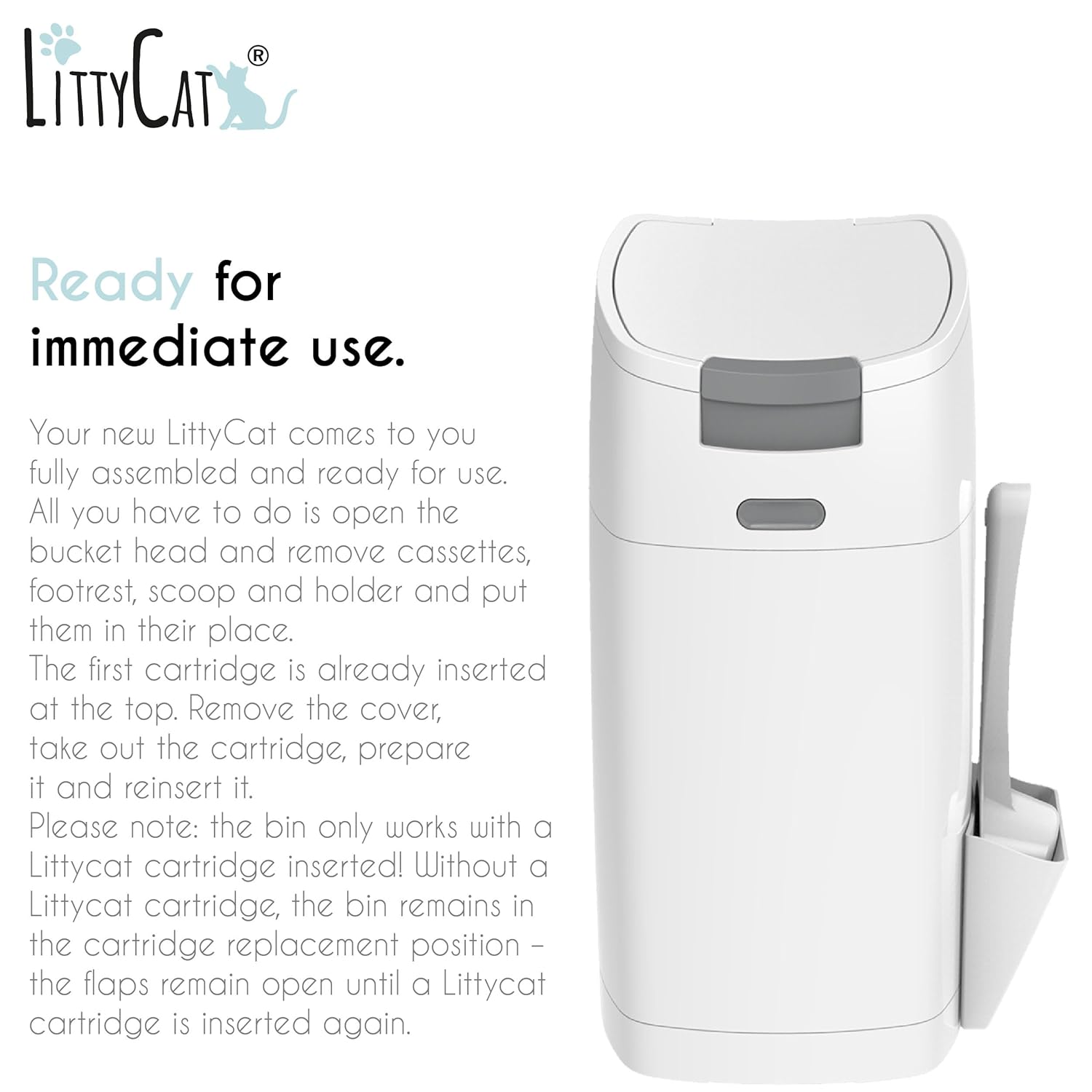 71ECFfl2WQL. SL1500 .jpg