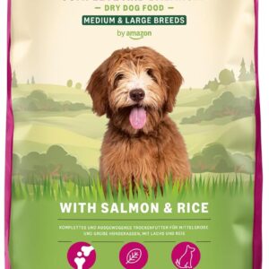 71EVWmcxEML. AC SL1500 .jpg