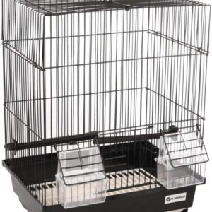 71EZ9e0uNOL. AC SL1000 .jpg