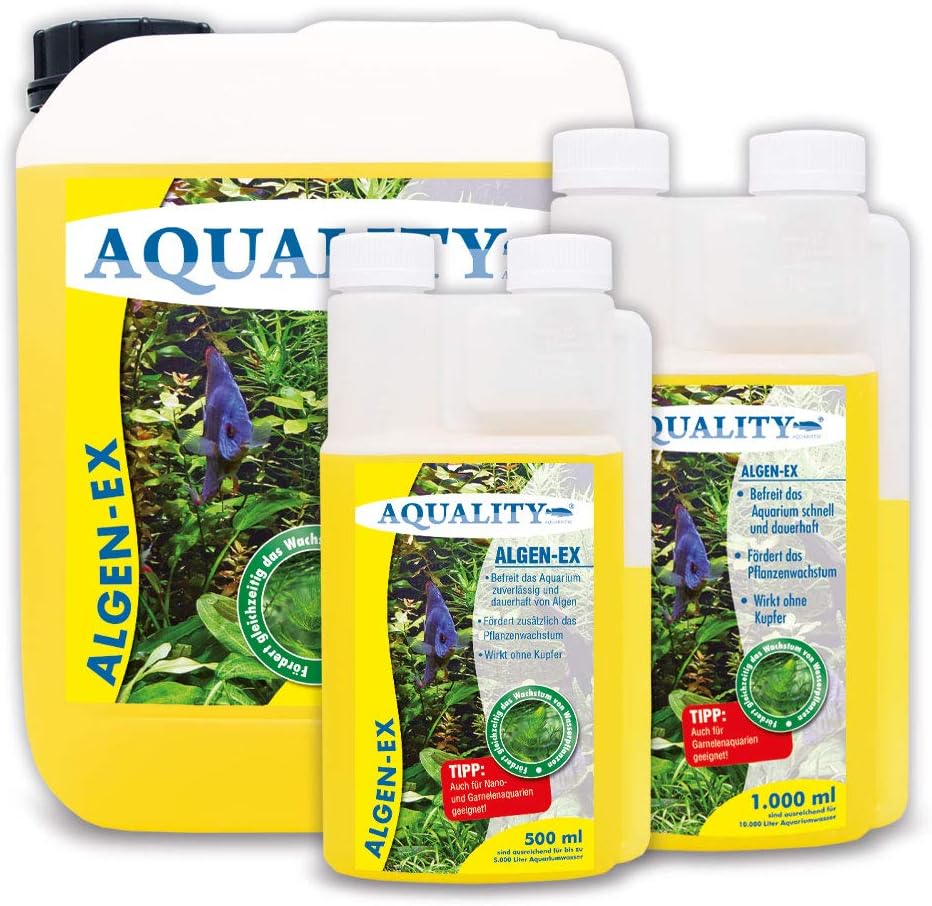 71F3hUL24sL. AC SL1000 .jpg