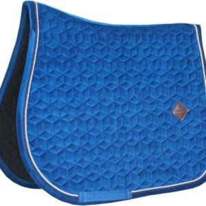 71FGxur85XL. AC SL1500 .jpg