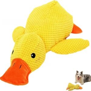 71FMWEiIHRL. AC SL1500 .jpg