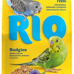 71FPJYTDkAL. AC SL1500 .jpg