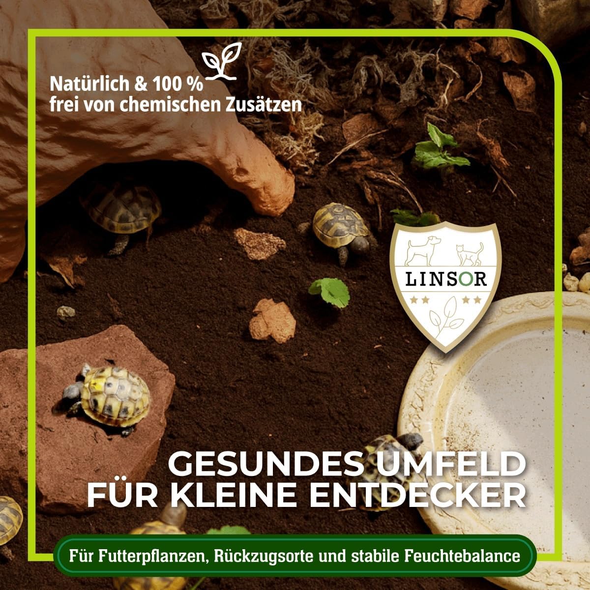 71FgjOzv1WL. AC SL1200 .jpg