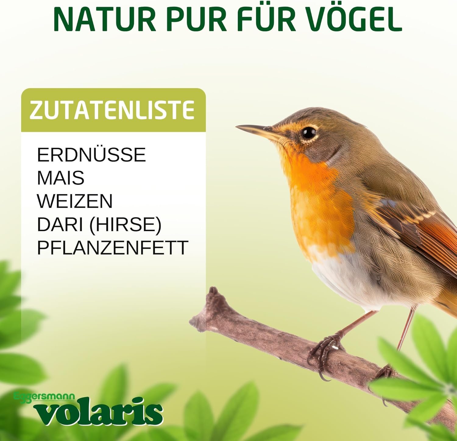 71Fr7EadZL. AC SL1500 .jpg