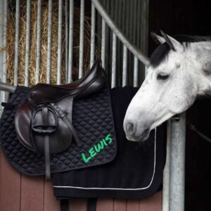 71FwpTrLP0L. SL1200 .jpg