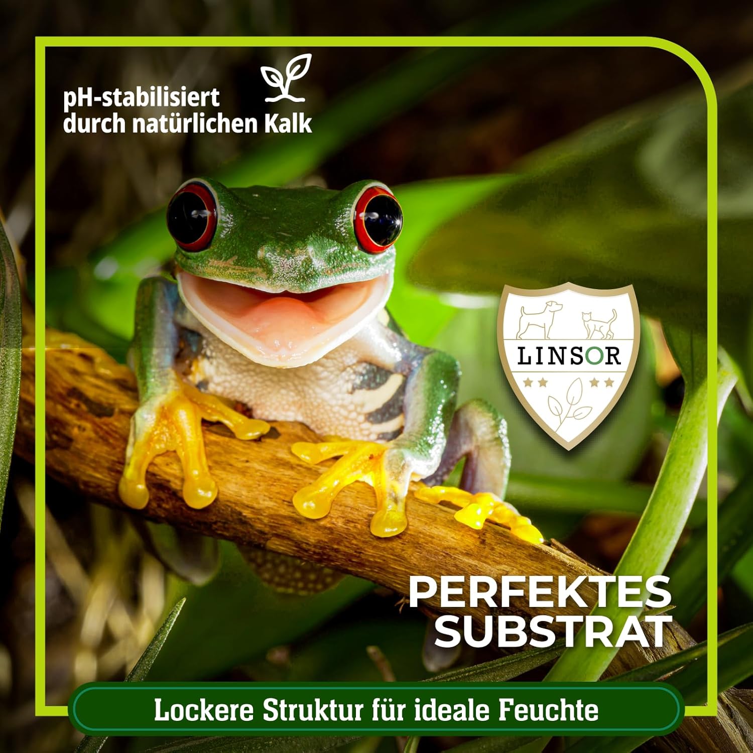 71G56wqC oL. AC SL1500 .jpg