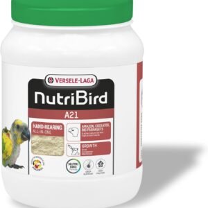 71GnR6pMgxL. AC SL1500 .jpg