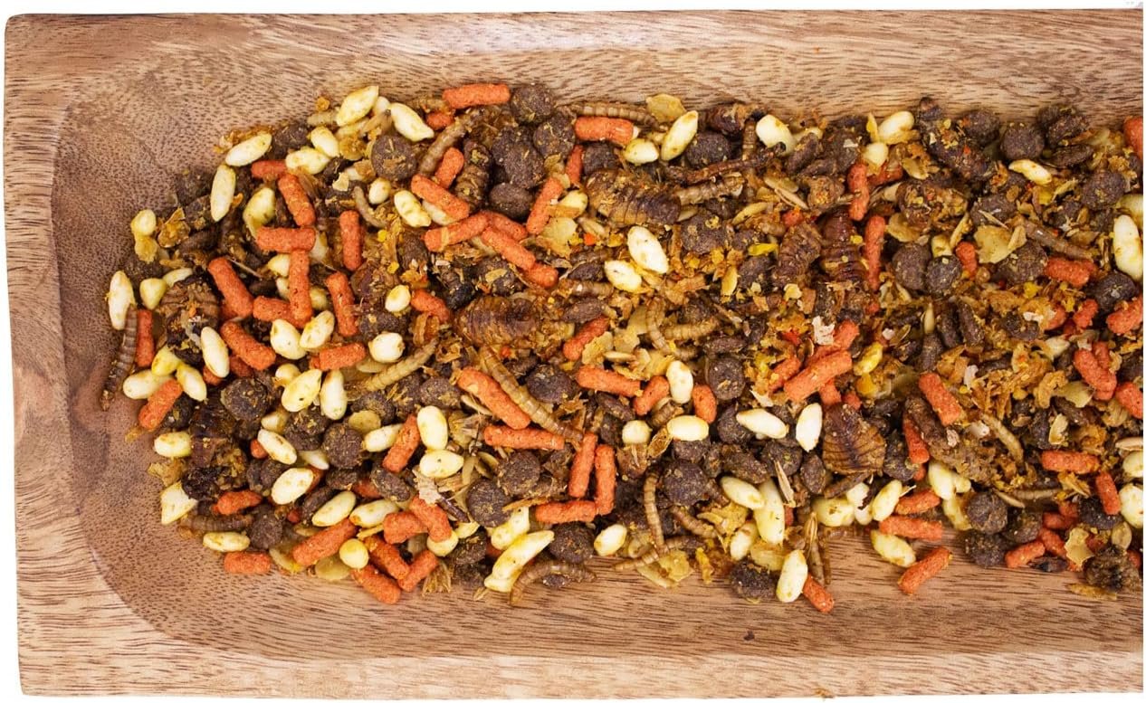 71GynG7sBbL. AC SL1280 .jpg