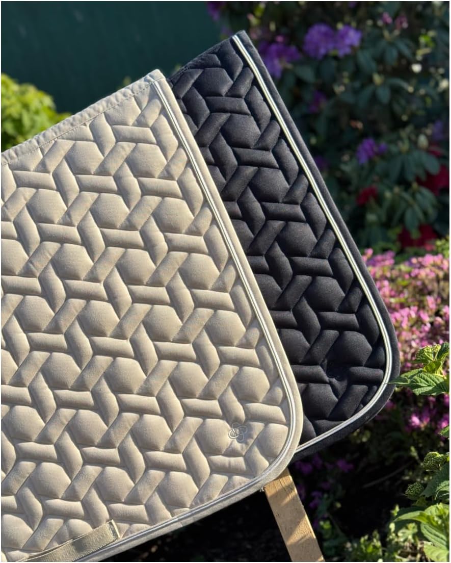 71HhXUnbIZL. AC SL1350 .jpg