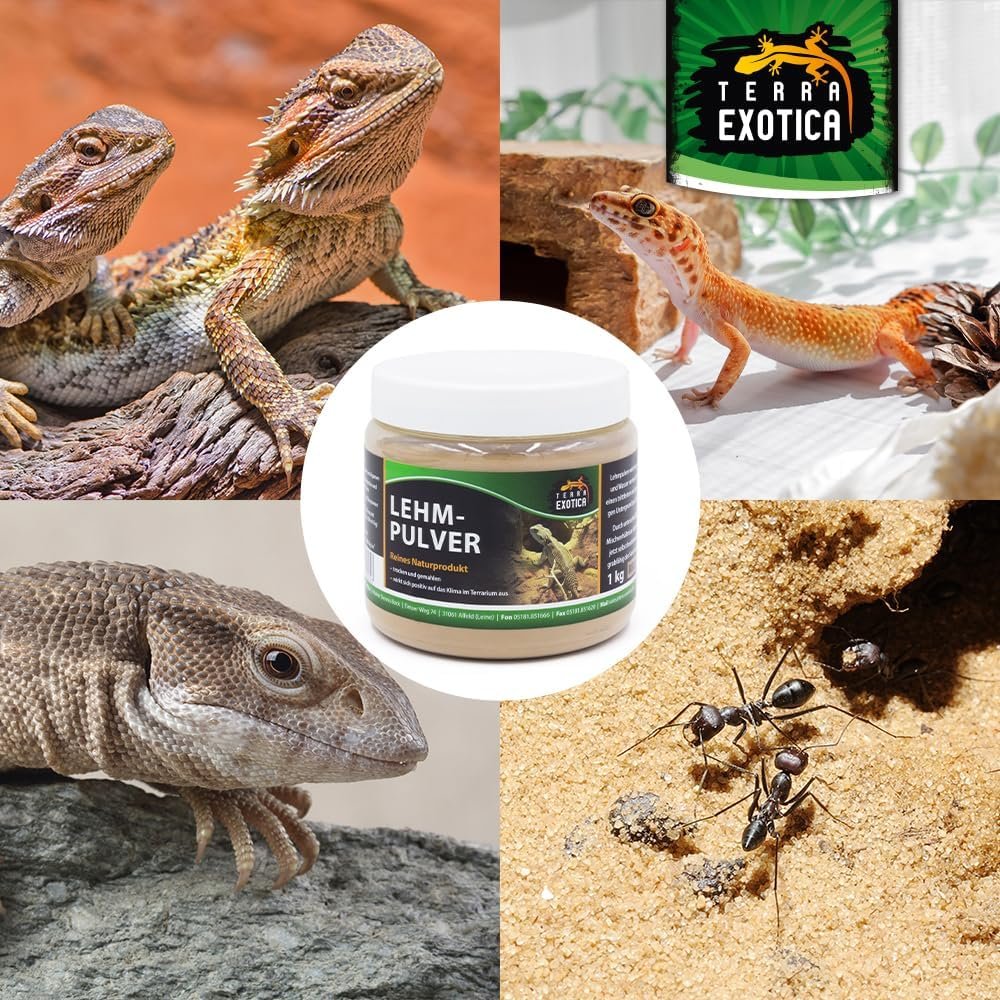 71HhfPzrhL. AC SL1000 .jpg