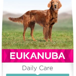 71Hl3xzVLzL. AC SL1500 .jpg