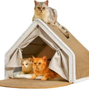 71HoapgaSFL. AC SL1500 .jpg