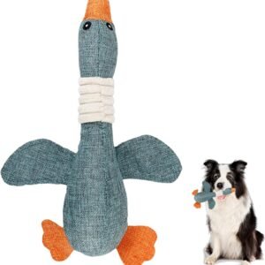 71HqUvphaL. AC SL1500 .jpg