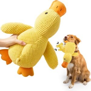 71HuweK4XxL. AC SL1500 .jpg