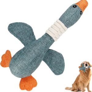 71IDskzPsL. AC SL1500 .jpg