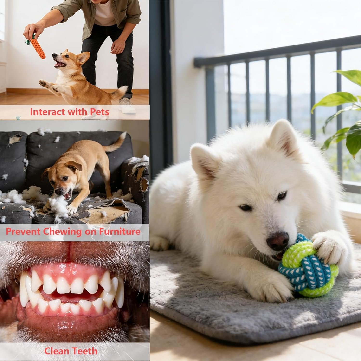 71II nJqNL. AC SL1500 .jpg