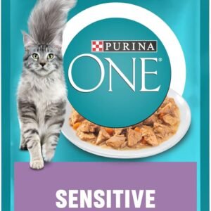 71IccB9twzL. AC SL1500 .jpg