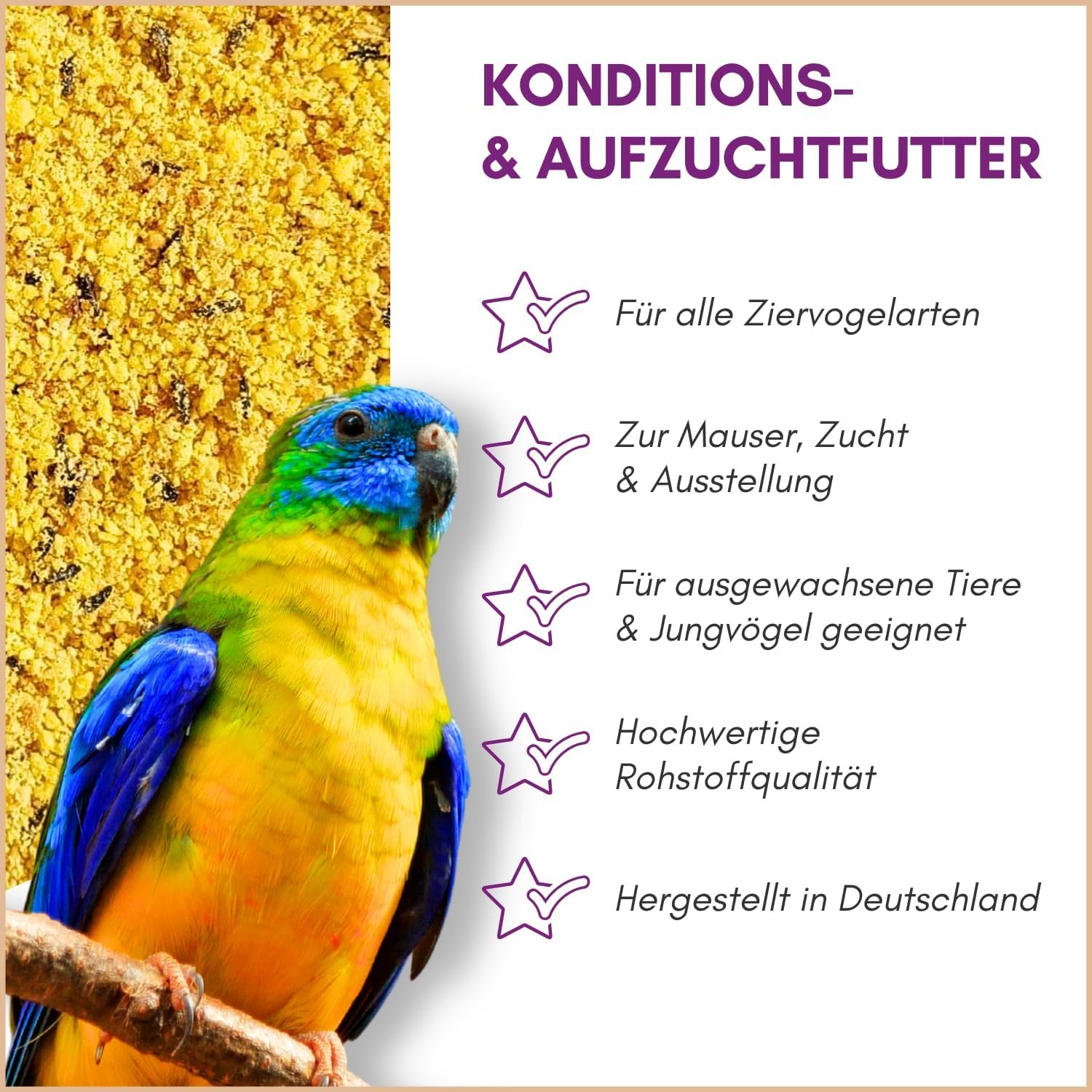 71IfN35RY5L. AC SL1500 .jpg