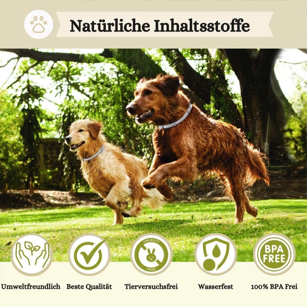 71IiWkuMIPL. AC SL1080 .jpg