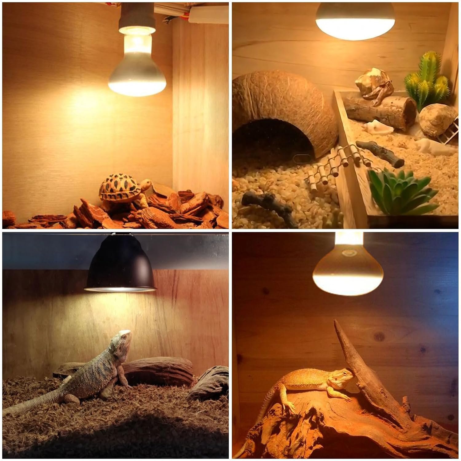 71Iisu6GxuL. AC SL1500 .jpg