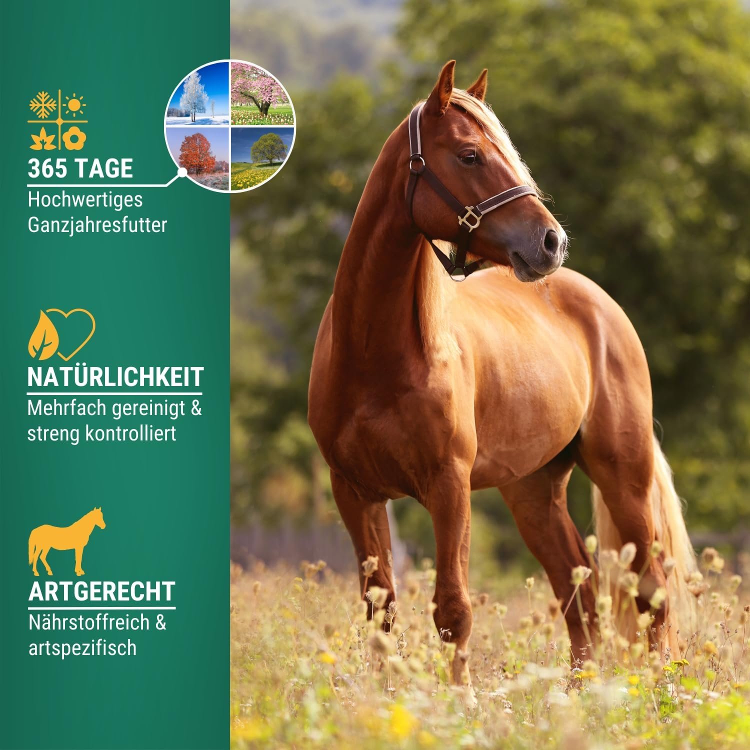 71IzIivEJ7L. AC SL1500 .jpg