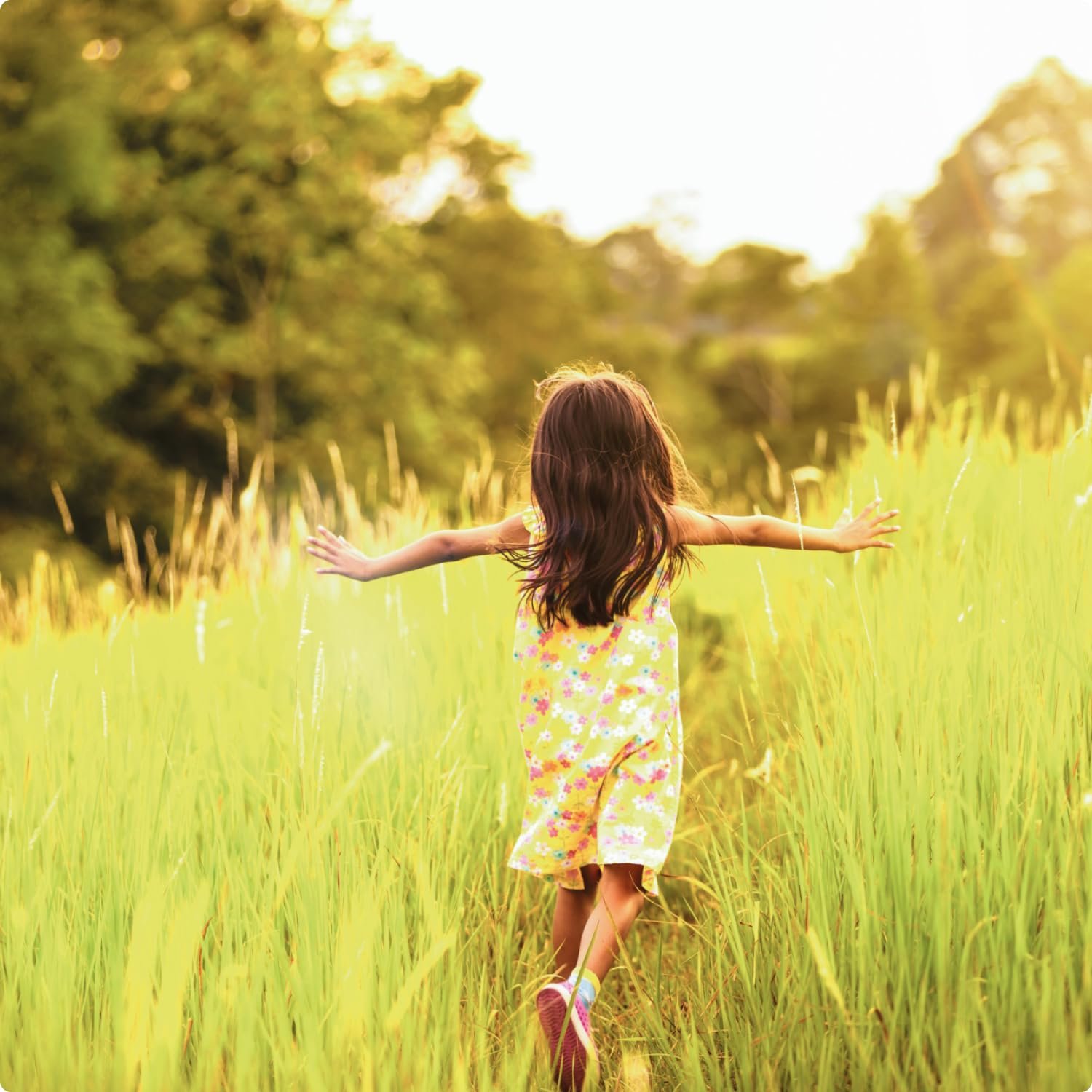 71JGTn71zZL. SL1500 .jpg