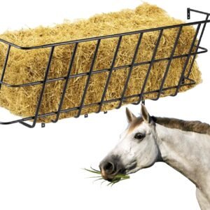 71JHkf7aNML. AC SL1500 .jpg