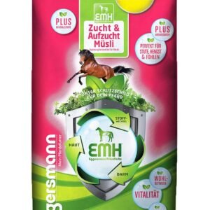 71JVeREWW0L. AC SL1500 .jpg