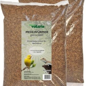 71K1 w1ol9L. AC SL1200 .jpg