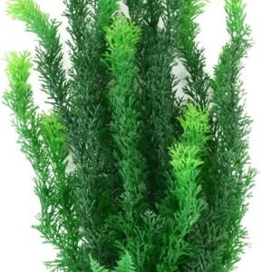 71K2QI29lUL. AC SL1080 .jpg