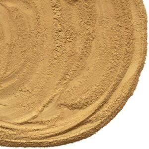 71KLyEvI4L. AC SL1000 .jpg