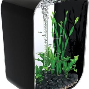 71KZHswKScL. AC SL1319 .jpg