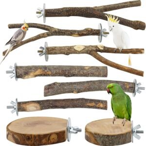 71KfHkgDhPL. AC SL1500 .jpg