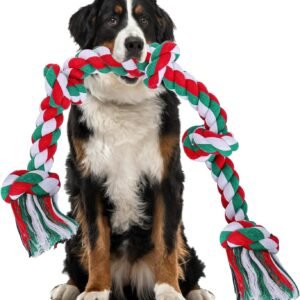 71L2VV2lGJL. AC SL1500 .jpg