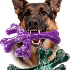 71LEaactL. AC SL1500 .jpg