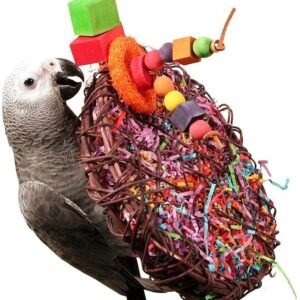 71LcpimH69L. AC SL1000 .jpg