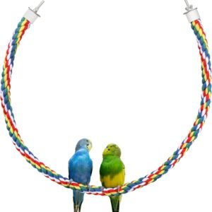 71MEyZLKQL. AC SL1500 .jpg