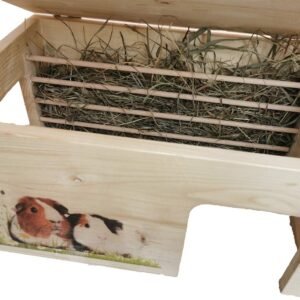 71MFrqH30lL. AC SL1500 .jpg