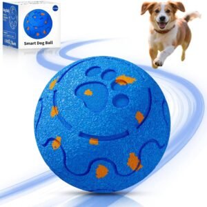 71MG RtcQ5L. AC SL1500 .jpg