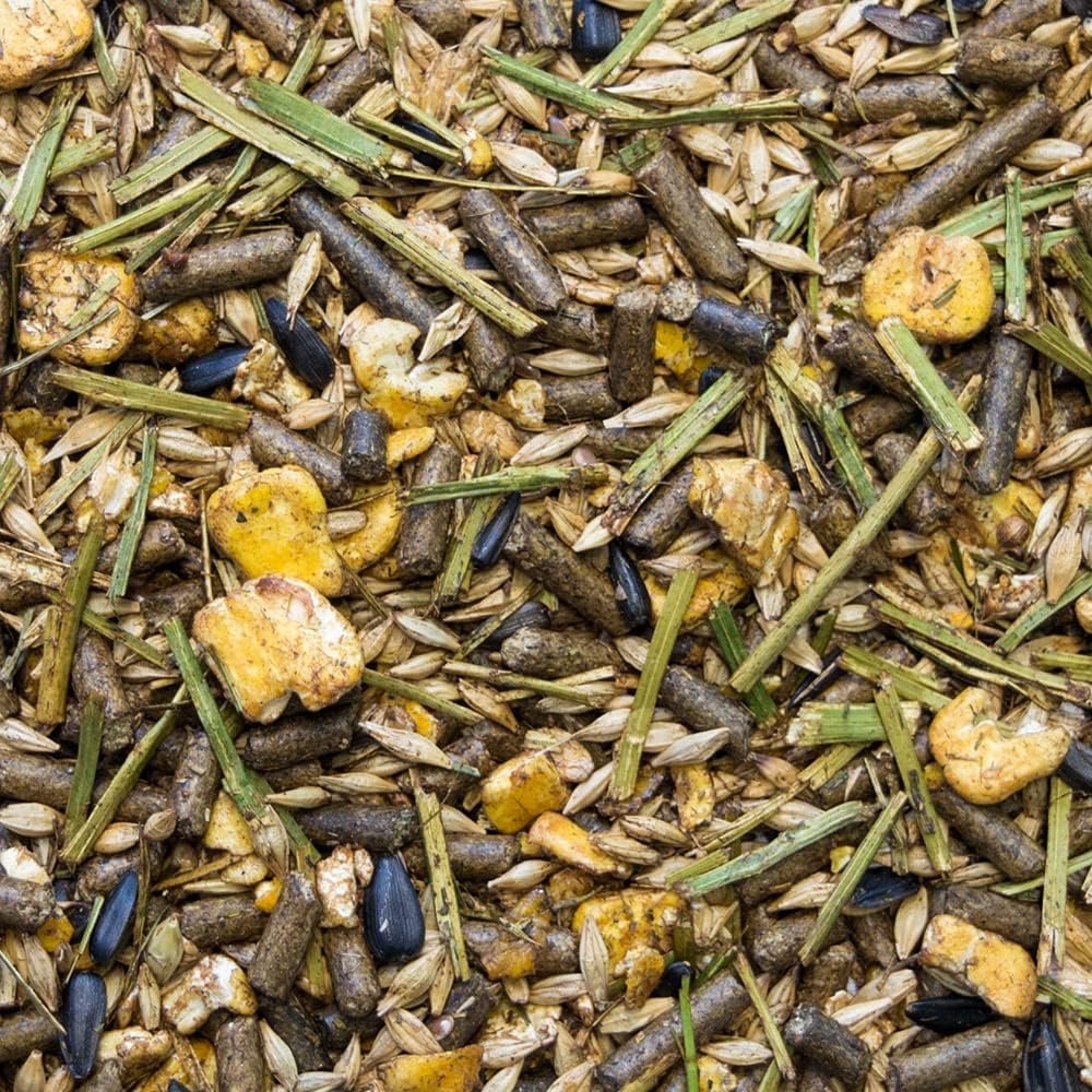 71MxxJG90LL. AC SL1000 .jpg