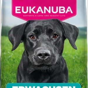 71N9WJ1YpNL. AC SL1254 .jpg