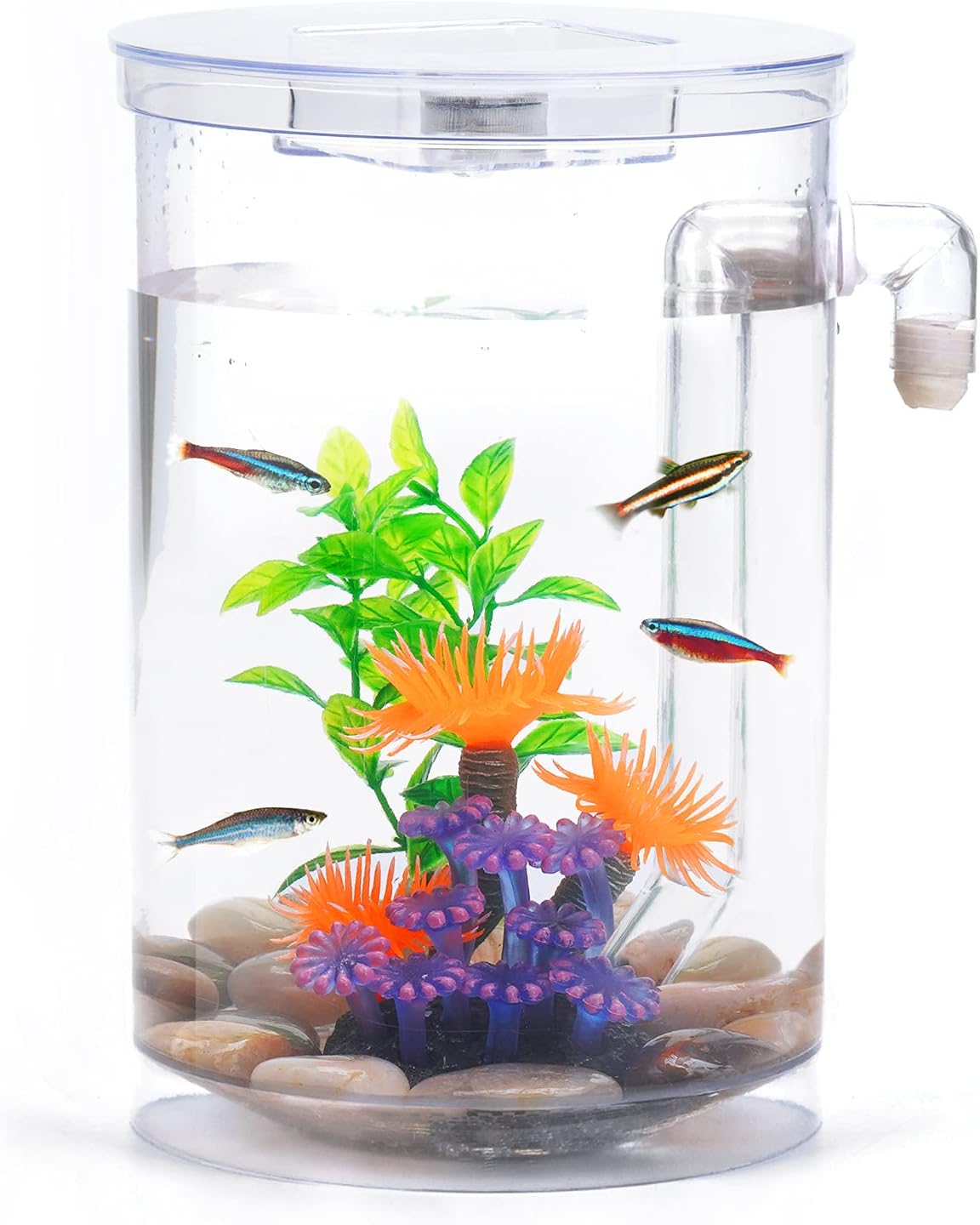 Betta Fish Aquarium Kleines Komplettset, 3,5L Aquarium-Set komplett mit LED-Beleuchtung, Kieselsteinen, künstlichen Korallen und Wasserpflanzen sowie automatischem Reinigungs- und Abwassersystem Betta Fish Aquarium Kleines Komplettset, 3,5L Aquarium-Set komplett mit LED-Beleuchtung, Kieselsteinen, künstlichen Korallen und Wasserpflanzen sowie automatischem Reinigungs- und Abwassersystem