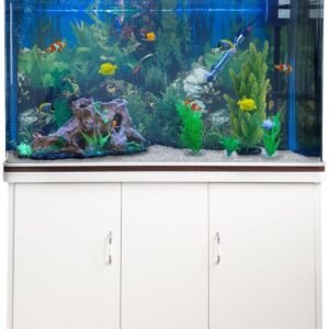 71Ne7oyE4pL. AC SL1200 .jpg