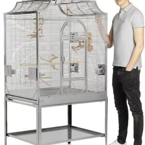 71NyUUz2N9L. AC SL1280 .jpg