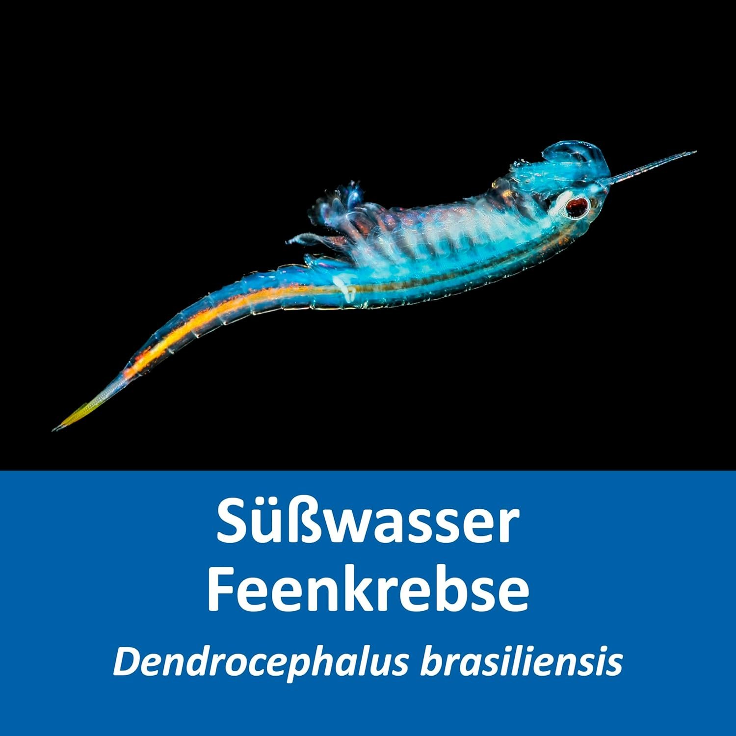 71NzToGwBHL. AC SL1500 .jpg